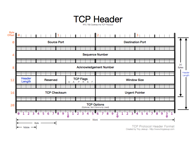 Illustration of Ports and Protocols: TCP vs UDP in Plain English (3)